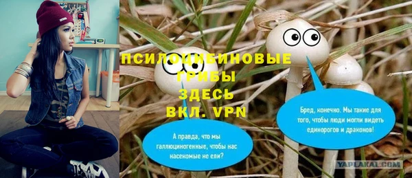 прущие крисы Новодвинск