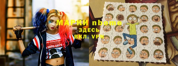 ECSTASY Новозыбков