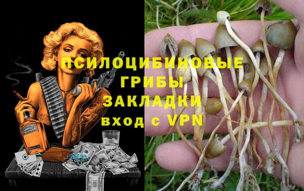 МДПВ Ветлуга