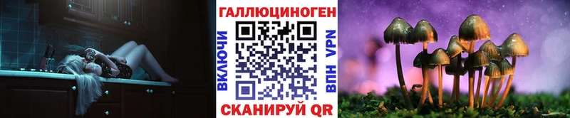 Псилоцибиновые грибы Psilocybine cubensis  omg рабочий сайт  Удачный  как найти  
